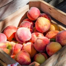 Peach Please: Πώς να εντάξεις το ροδάκινο στη ρουτίνα περιποίησής σου